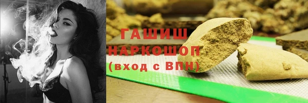 прущие грибы Новосибирск