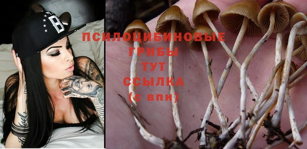 экстази Корсаков