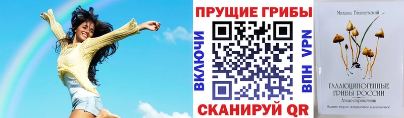 Галлюциногенные грибы мицелий  Сокол 