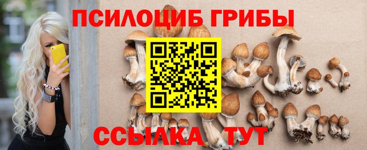 Псилоцибиновые грибы прущие грибы Сокол