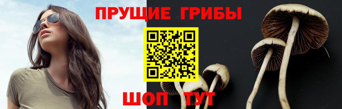Сокол  Галлюциногенные грибы мухоморы  Псилоцибиновые грибы мухоморы  Вход с VPN 
